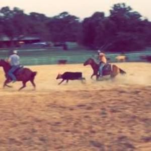 Meet your Posher, Ty